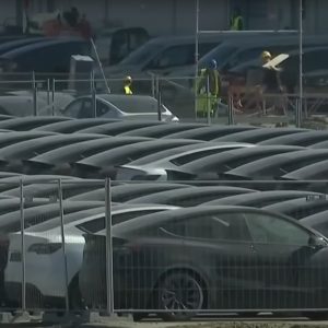 “Tại sao Tesla lại tệ đến vậy? Bởi vì đối thủ cạnh tranh tốt hơn.”