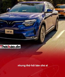 VINFAST SẼ CẦM CỰ ĐƯỢC TỚI BAO GIỜ?