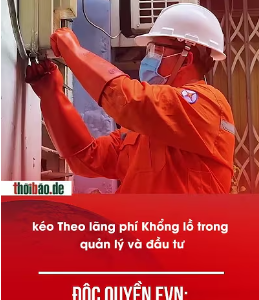 ĐỘC QUYỀN EVN: HÓA ĐƠN CÀNG NGÀY CÀNG VÔ LÝ