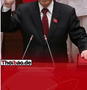 LUẬT RỪNG TRONG ĐẢNG: KHI QUYỀN LỰC BỊ CHI PHỐI BỞI THẾ GIỚI NGẦM