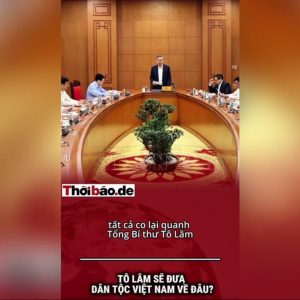 苏林将把越南民族带向何方？