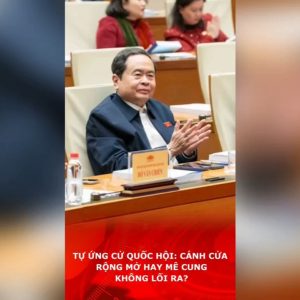 Selbstkandidatur für die Nationalversammlung: weit geöffnete Tür oder Labyrinth ohne Ausgang?