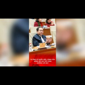 Tự ứng cử Quốc hội: cánh cửa rộng mở hay mê cung không lối ra?