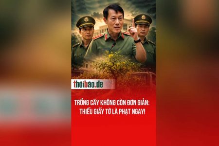 TRỒNG CÂY KHÔNG CÒN ĐƠN GIẢN: THIẾU GIẤY TỜ LÀ PHẠT NGAY!
