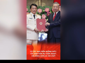 Từ Cây Mai Đến Miếng Đất: Tài Sản Dân Bị Tước Đoạt Dễ Dàng Hơn Cả Ăn Cắp!