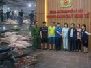 检疫干部团伙收受25亿越盾，为300吨病猪肉流入26所学校保驾护航！